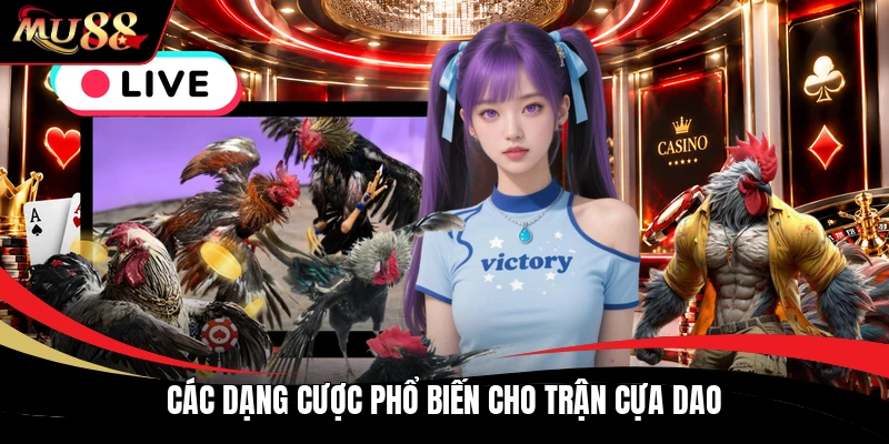 Các dạng cược phổ biến cho trận cựa dao
