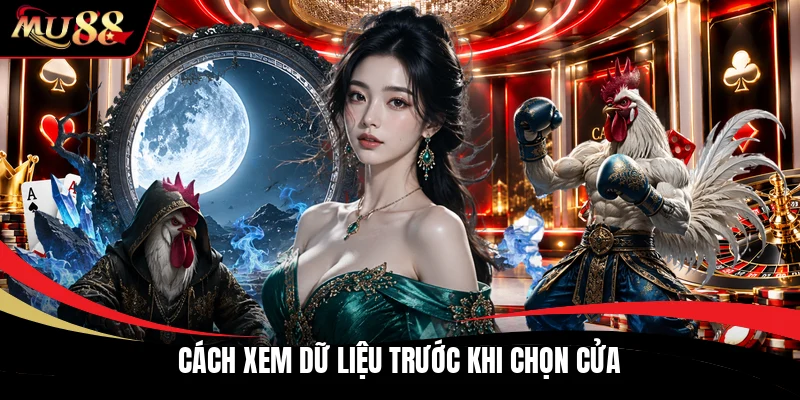 Cách xem dữ liệu trước khi chọn cửa