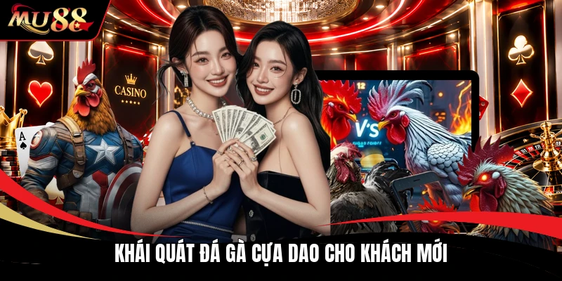 Khái quát đá gà cựa dao cho khách mới