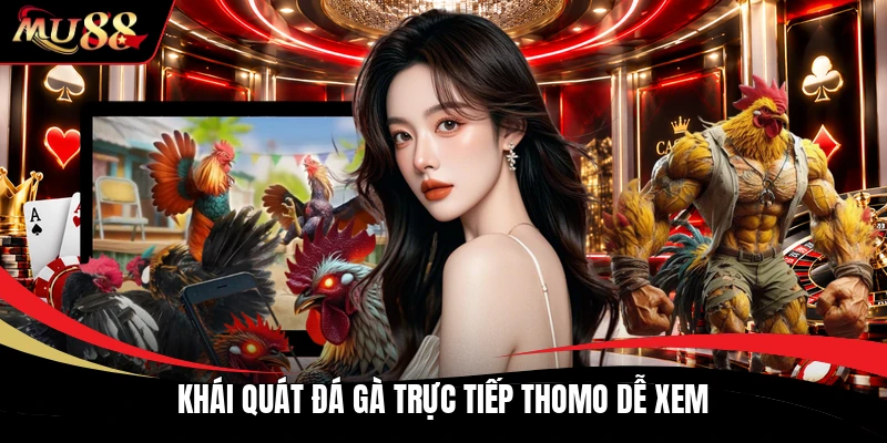 Khái quát đá gà trực tiếp thomo dễ xem